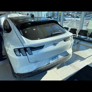 Meet your Posher, Randy